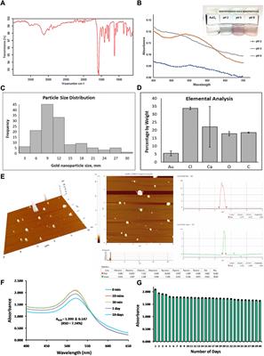 Cytotoxic potential on human breast and lung cancer cells of the biosynthesized gold nanoparticles from the reduction of chloroauric acid by lactic acid isolated from Lactobacillus acidophilus